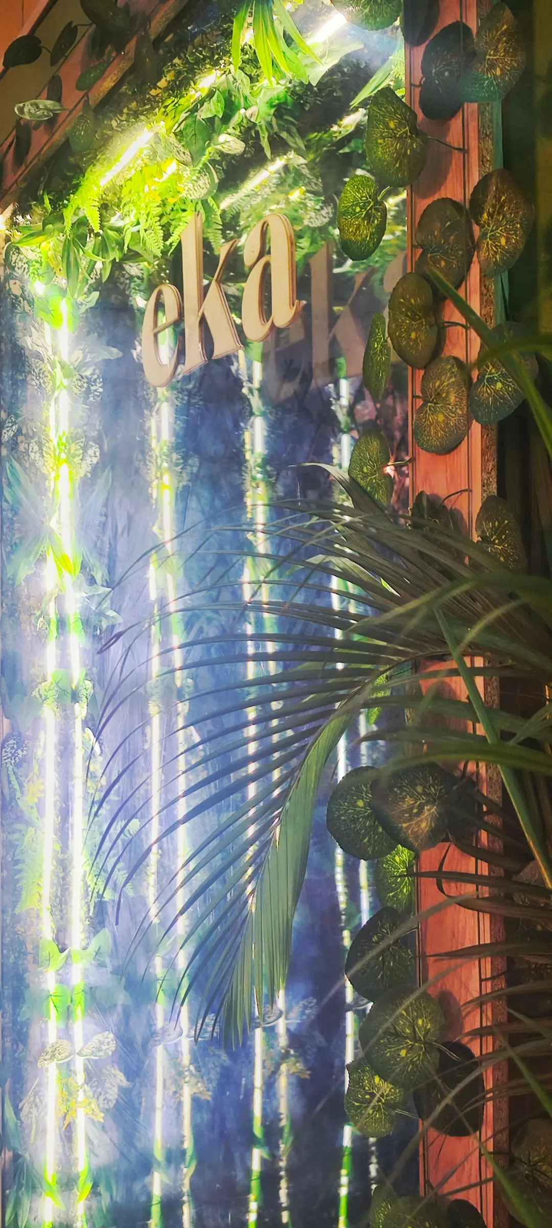 Pared verde con plantas y el letrero iluminado de Café EKA